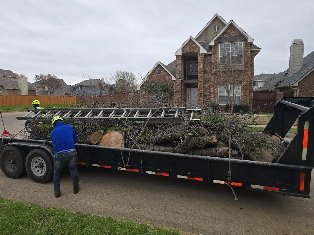 Expert Tree Fertilization with proper safety equipment in Farmington Falls